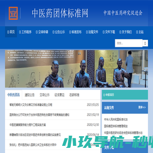 中医药团体标准网
