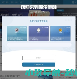 摩尔金融