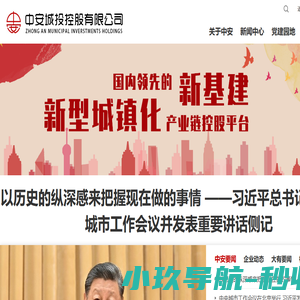 中安城投控股
