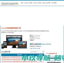 chrome浏览器,chrome插件,谷歌浏览器下载,谈笑有鸿儒