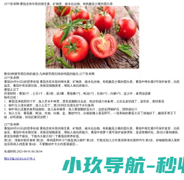 2277安卓网