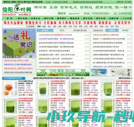 信阳毛尖