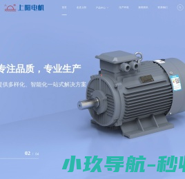 江苏上阳电机有限公司