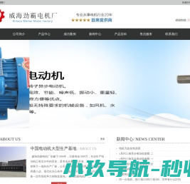 威海劲霸电机厂