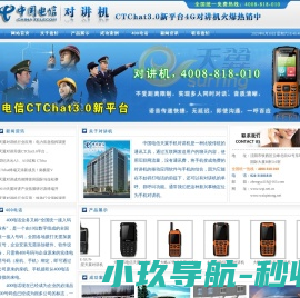 泰铝公司