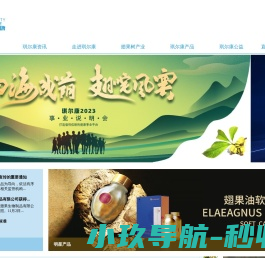 山西琪尔康翅果生物制品有限公司