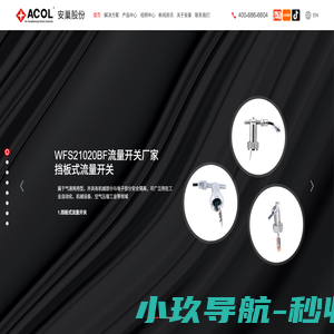 水流量开关,自动补水阀,压差开关-上海安巢公司