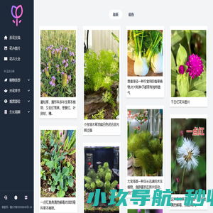花卉图片网 - 你的养花小助手