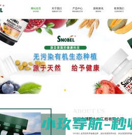 NADH线粒体