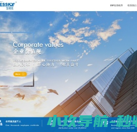 深圳市宝视佳科技有限公司