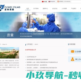 富维薄膜（山东）有限公司