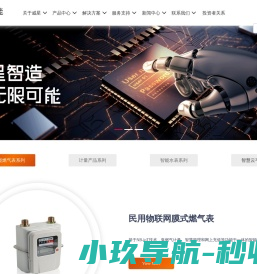 浙江威星智能仪表股份有限公司