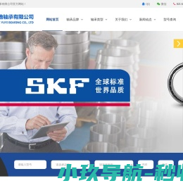 SKF轴承