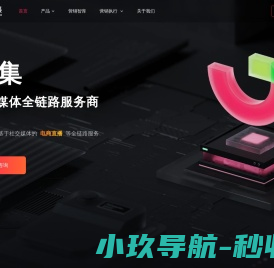 果集