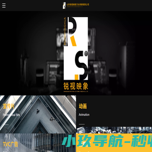 山东锐视映象文化传媒