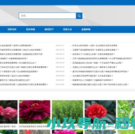 花卉坊