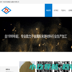 成都振兴金属粉末有限公司