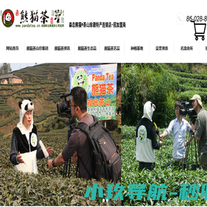 PandaTea熊猫茶官方网