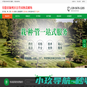 阜阳市颍州区日升园林苗圃场