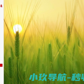 临澧乡里乡亲电商公司