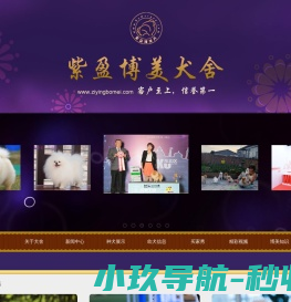 紫盈博美犬舍