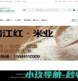 网站截图
