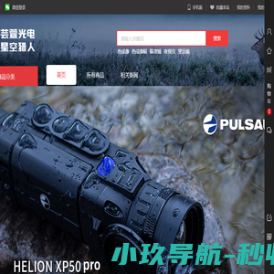 网站截图