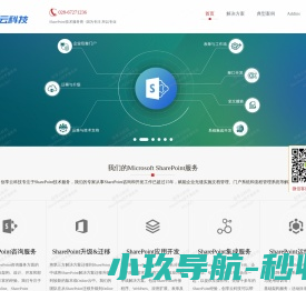 SharePoint技术服务商