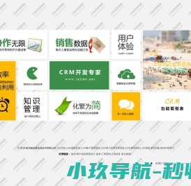 CRM开发专家