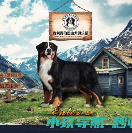河南明泰铝业,铝箔生产厂家,3004铝箔,8011铝箔,蜂窝铝箔,容器箔,奶盖箔