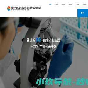 网站截图