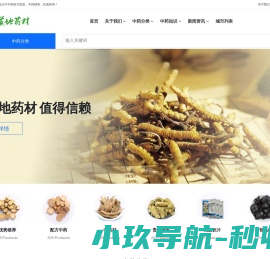 网站截图
