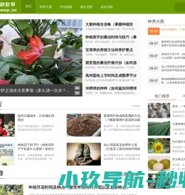 花韵世界
