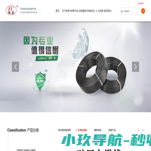 潜水泵电缆_潜水泵线缆_潜水泵专用电缆-沧州新泰线缆有限公司