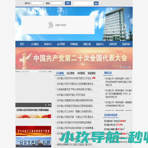 嫩江尼尔基水利水电有限责任公司
