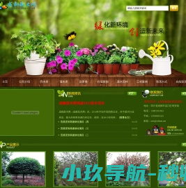 成都苗木