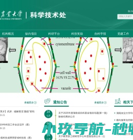 永辉云金科技有限公司