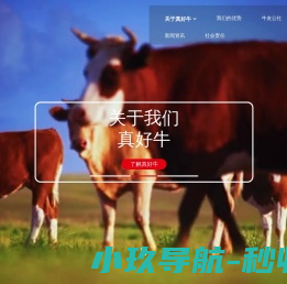 真好牛（深圳）科技有限公司