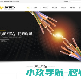 广州市声王电子科技有限公司