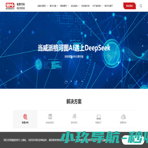 上海威派格智慧水务股份有限公司-上海威派格智慧水务股份有限公司