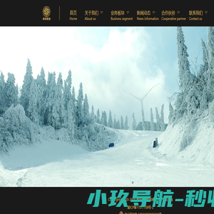 嵩悦集团
