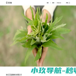艾艾贴——新艾草·新国粹