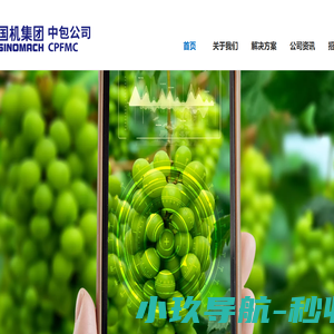 中国包装和食品机械有限公司