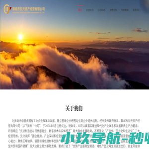 聊城市东元资产经营有限公司