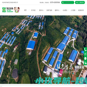 种猪_商品猪_民正商品猪_民正农牧_河南民正农牧股份有限公司