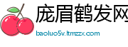 庞眉鹤发网