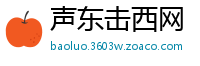 声东击西网
