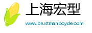上海宏型科技有限公司