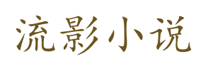 流影小说