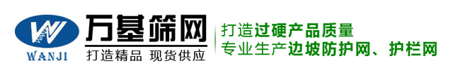 主动边坡防护网生产厂家